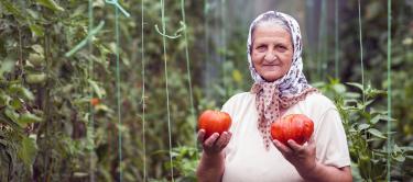 Holistisches Konzept und ökologischer Landbau